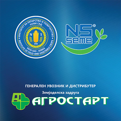 Каталог