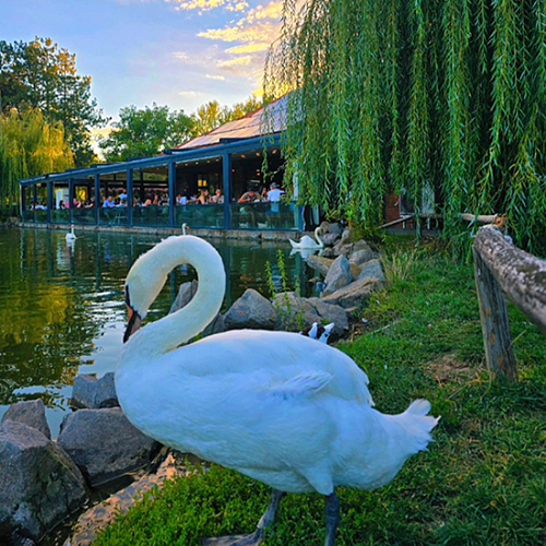 restoran-ambient-clubeconomy